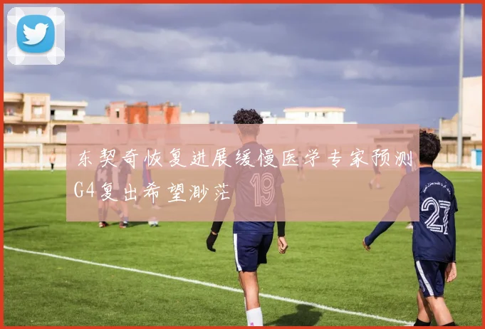 东契奇恢复进展缓慢医学专家预测G4复出希望渺茫