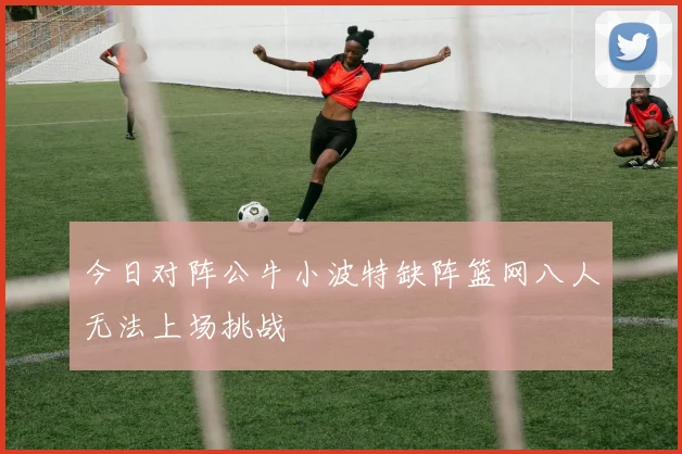 今日对阵公牛小波特缺阵篮网八人无法上场挑战