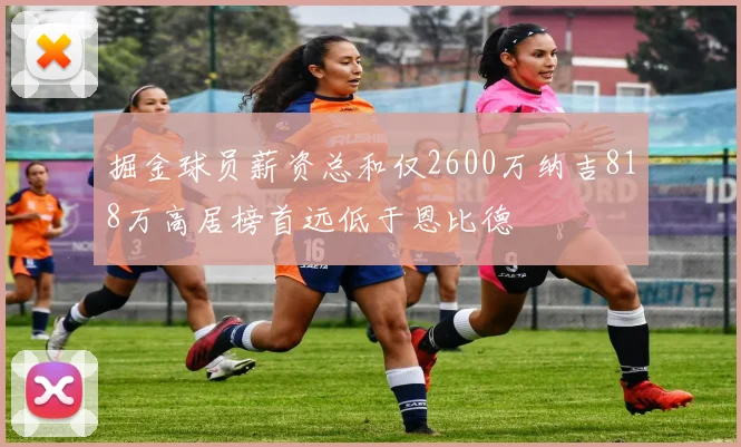 掘金球员薪资总和仅2600万纳吉818万高居榜首远低于恩比德